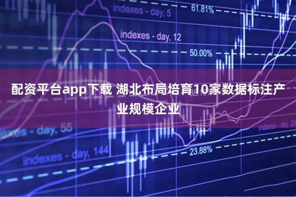 配资平台app下载 湖北布局培育10家数据标注产业规模企业