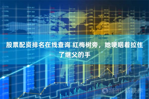 股票配资排名在线查询 红梅树旁，她哽咽着拉住了继父的手