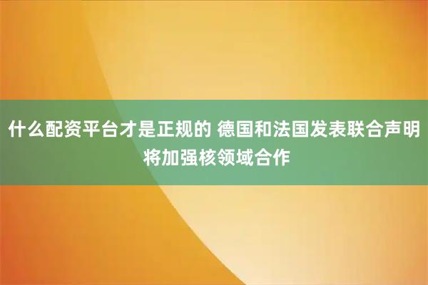 什么配资平台才是正规的 德国和法国发表联合声明 将加强核领域合作