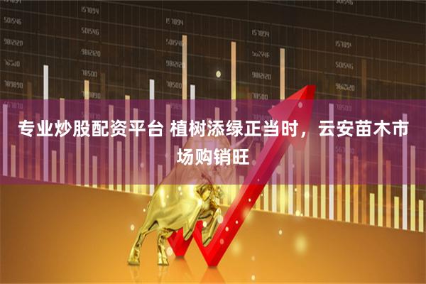 专业炒股配资平台 植树添绿正当时，云安苗木市场购销旺