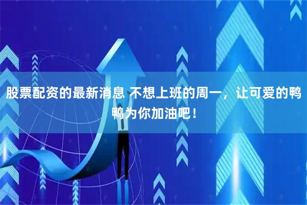 股票配资的最新消息 不想上班的周一，让可爱的鸭鸭为你加油吧！