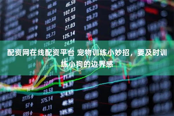 配资网在线配资平台 宠物训练小妙招，要及时训练小狗的边界感