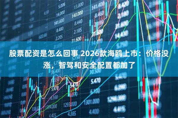 股票配资是怎么回事 2026款海鸥上市：价格没涨，智驾和安全配置都加了