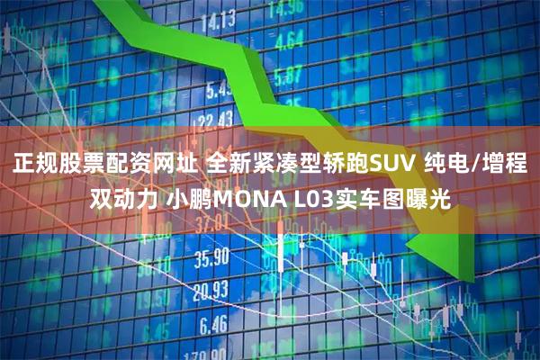 正规股票配资网址 全新紧凑型轿跑SUV 纯电/增程双动力 小鹏MONA L03实车图曝光